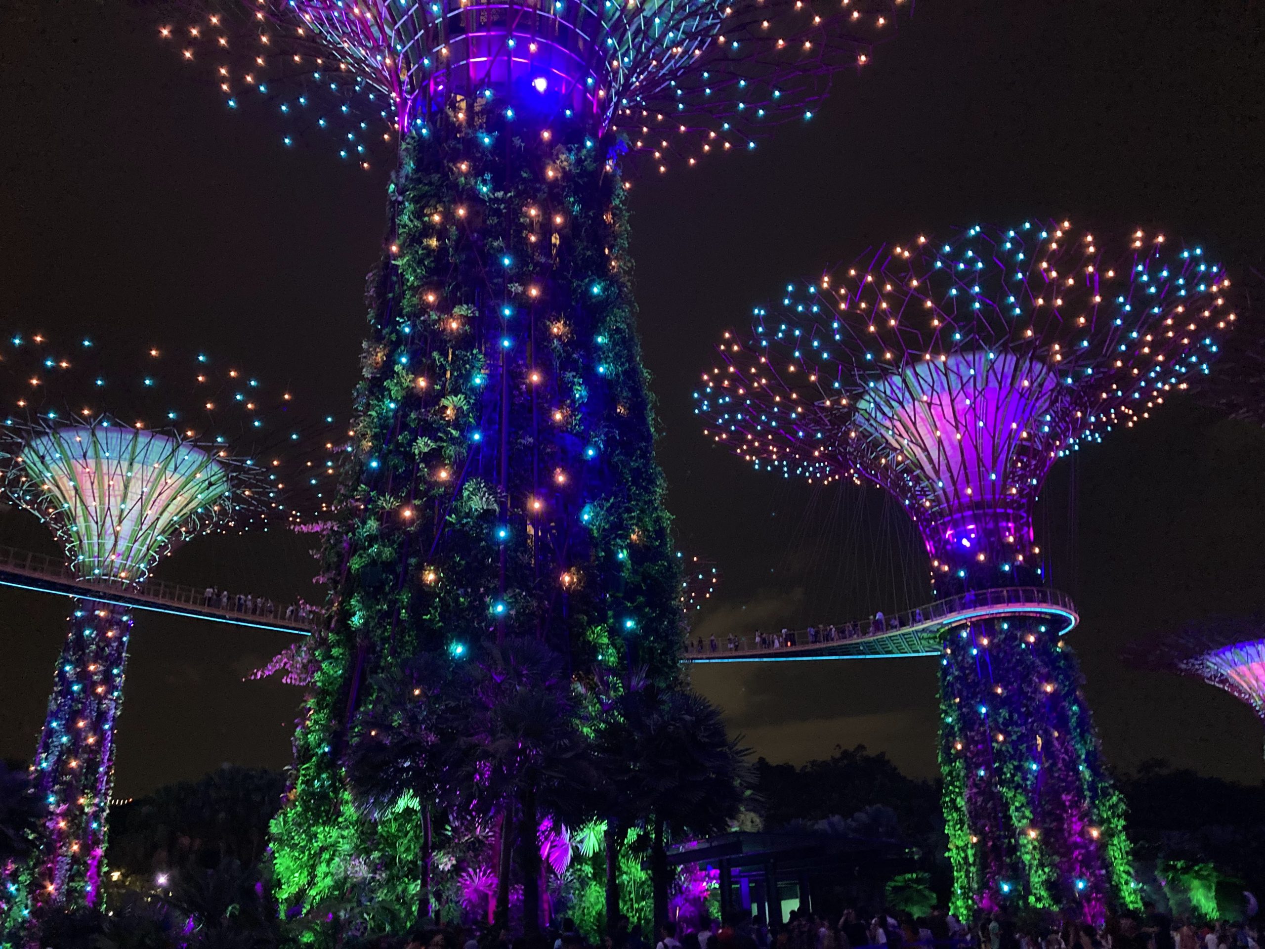 ガーデンラプソディ